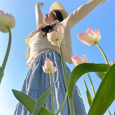 蔬菜历险记